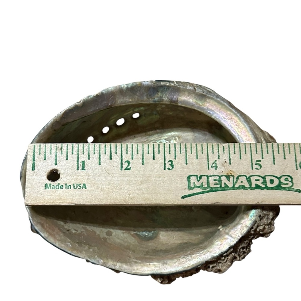 Abalone Sea Shell Beach Nautical Bowl Natural 70s 4.5”x5.5” - Picture 7 of 16